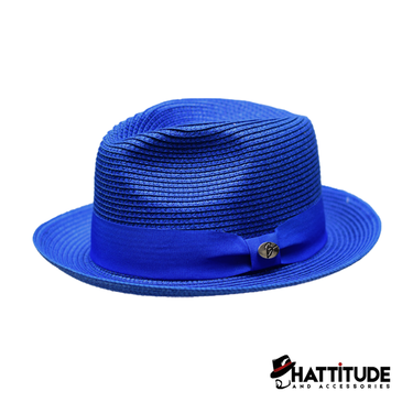 Leonardo - Blue